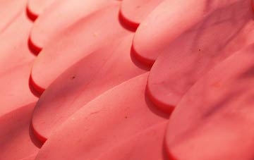 Hodsock plastic roof costs